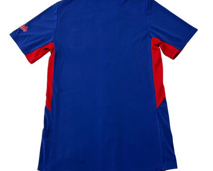 MLB Genuine Merchandise Blue Chicago Cubs Mascot Baseball Jersey