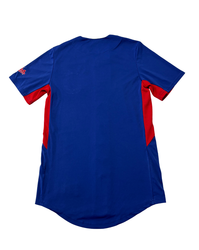 MLB Genuine Merchandise Blue Chicago Cubs Mascot Baseball Jersey