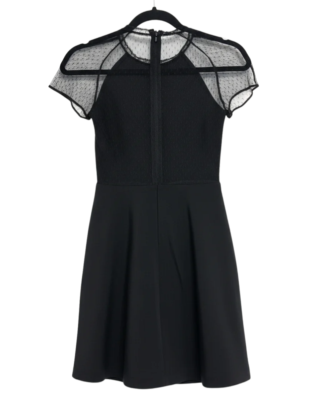 Zara Black Mesh Polka Dot Cap Sleeve Mini Dress