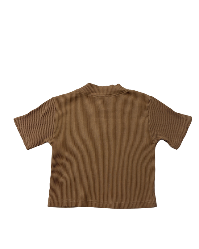 Santa Cruz Brown Ribbed Floral Embroidered Crop Top