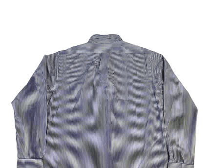Ralph Lauren Blue/White Striped Custom Fit Long Sleeve Shirt