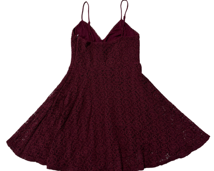 Ecoté Maroon Lace V-Neck Fit & Flare Mini Dress