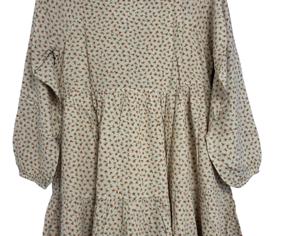 American Eagle Cream Floral Long Sleeve Tiered Mini Dress