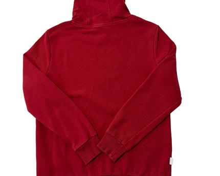 NBA Red Chicago Bulls Graphic Hoodie