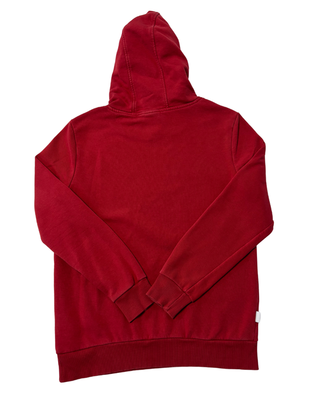 NBA Red Chicago Bulls Graphic Hoodie