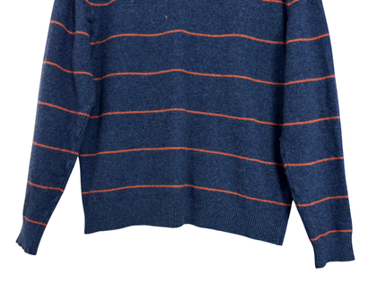 Lacoste Blue Striped V-Neck Knit Sweater