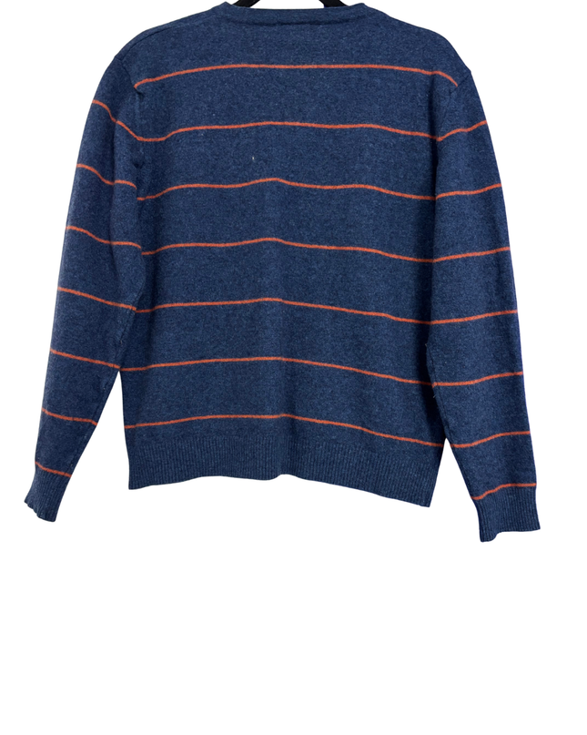 Lacoste Blue Striped V-Neck Knit Sweater