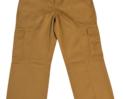 Abercrombie & Fitch Brown Cargo Utility Pants
