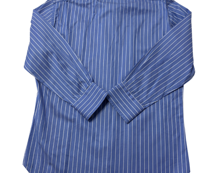 Zara Blue Striped Long Sleeve Button-Down Shirt