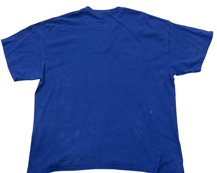 MLB Blue Chicago Cubs World Series Champions Graphic Tee