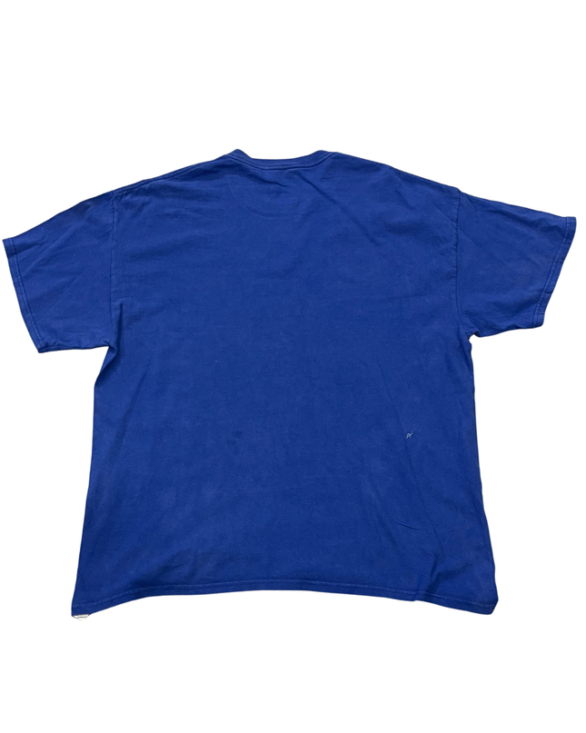 MLB Blue Chicago Cubs World Series Champions Graphic Tee
