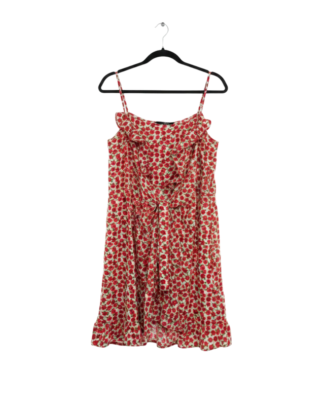 Topshop Red Floral Ruffle Mini Dress with Tie Front