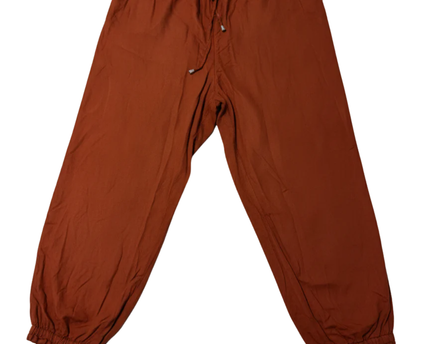 American Eagle Rust Smocked Waist Jogger Pants