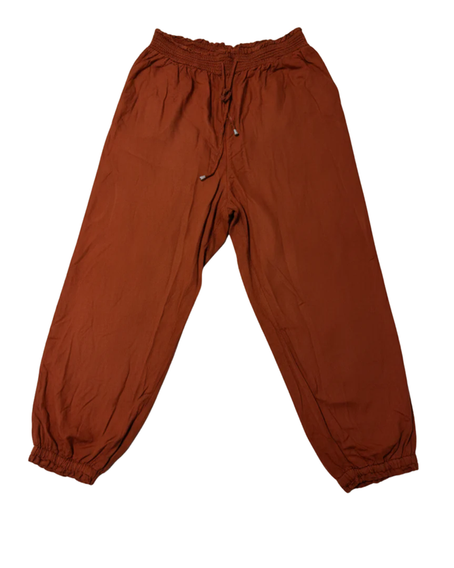 American Eagle Rust Smocked Waist Jogger Pants