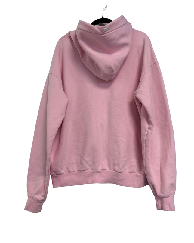 Celine Pink Multi-Color Embroidered Logo Oversized Hoodie