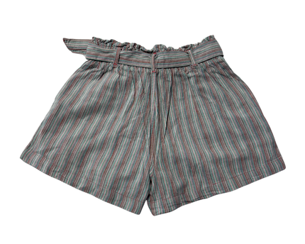 American Eagle Multicolor Striped High-Waisted Paperbag Shorts