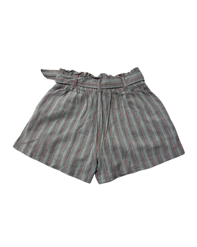 American Eagle Multicolor Striped High-Waisted Paperbag Shorts