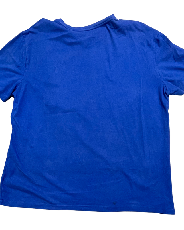 Polo Ralph Lauren Blue Short Sleeve V-Neck T-Shirt