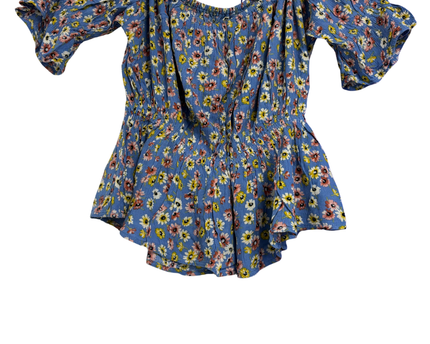 American Eagle Blue Floral Smocked Peplum Blouse