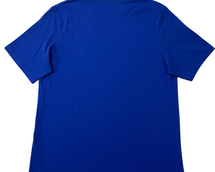 Nike Blue Artist In Residence Graphic Running T-Shirt | With Tag