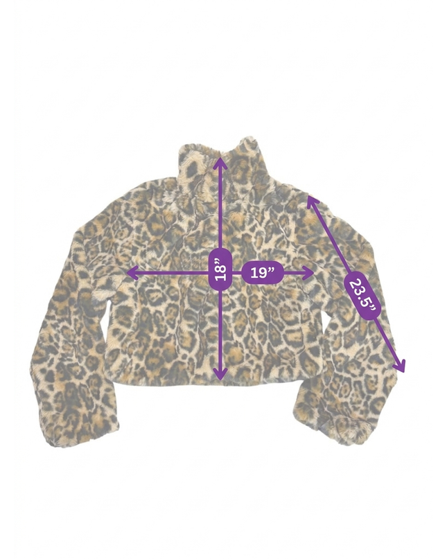 MC-09316-1417-3PHL6-001-measurement_image
