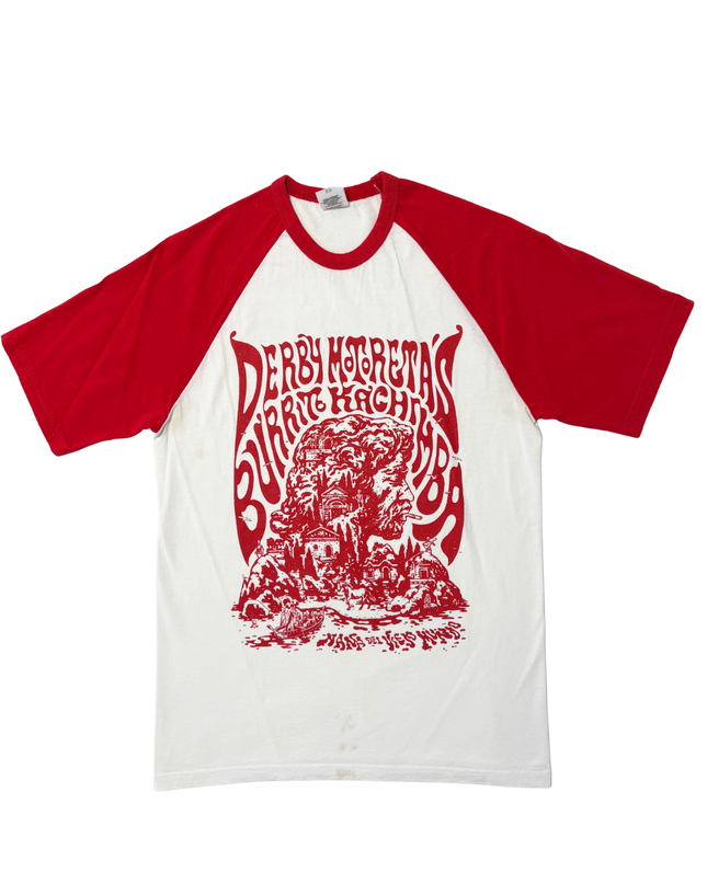 Fruit of the Loom Burrito Kachimba Graphic Raglan T-Shirt