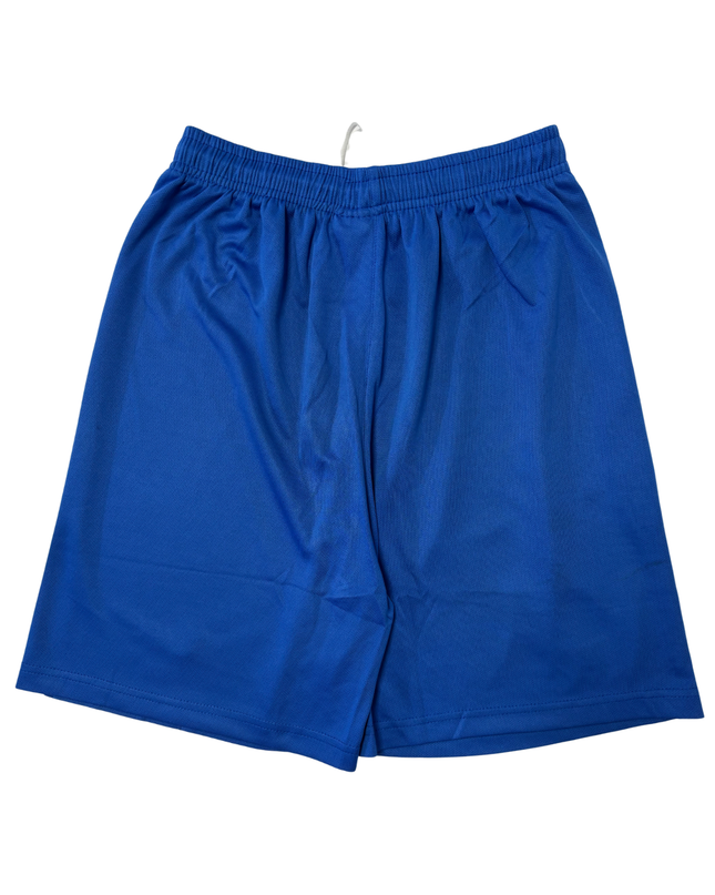 Nike Al Hilal SFC Royal Blue Home Football Shorts