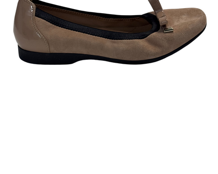 SH-00341-1310-SH-DS5001-front