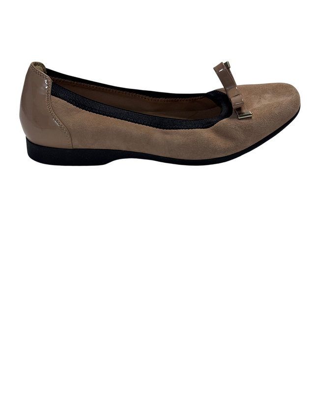 SH-00341-1310-SH-DS5001-front