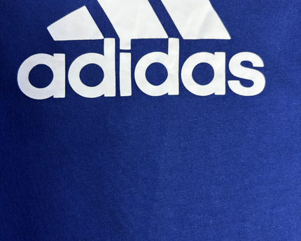 Adidas Blue Graphic Sports T-Shirt