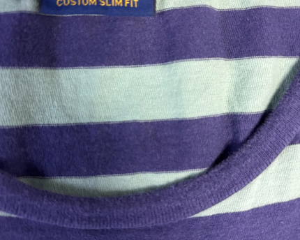 Polo Ralph Lauren Blue and Green Striped Pocket T-Shirt