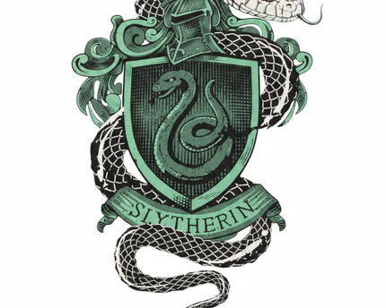 Harry Potter Black Slytherin Crest Graphic Tee
