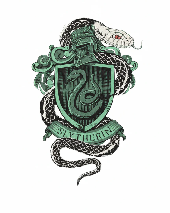 Harry Potter Black Slytherin Crest Graphic Tee