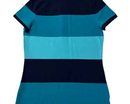 Tommy Hilfiger Blue Striped Classic Fit Polo Shirt