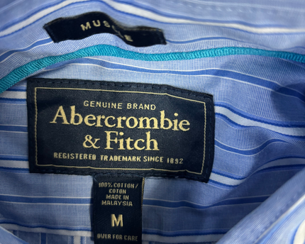 Abercrombie & Fitch Blue Striped Muscle Fit Shirt