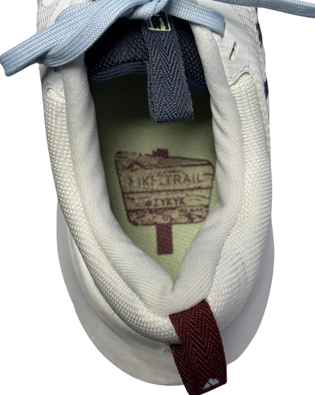 Nike Pegasus Trail 4 White Men's Trail Running Shoes