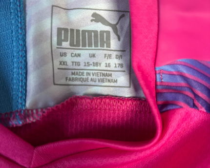 Puma Pink Long Sleeve Graphic Training Jersey