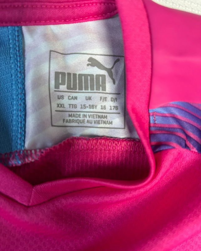 Puma Pink Long Sleeve Graphic Training Jersey
