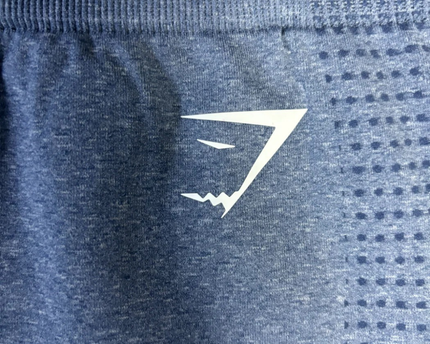 Gymshark Blue Energy+ Seamless High-Waisted Leggings