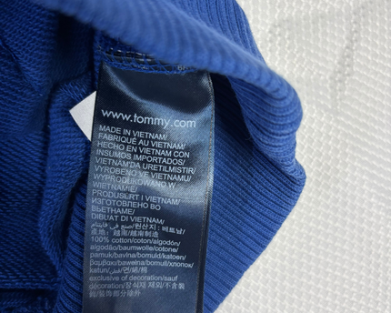 Tommy Hilfiger Blue Flag Colorblock Hoodie