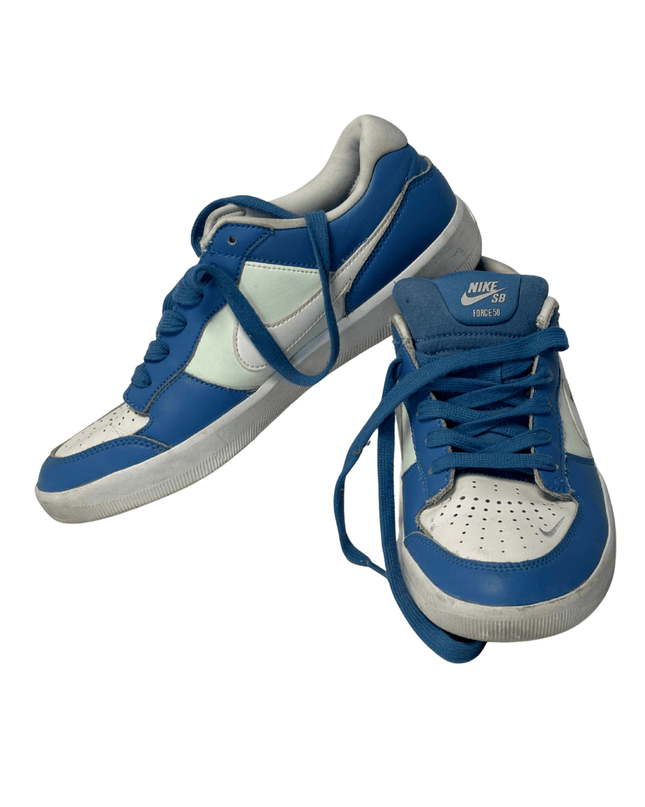 Nike SB Force 58 Skateboarding Shoes | EU 42