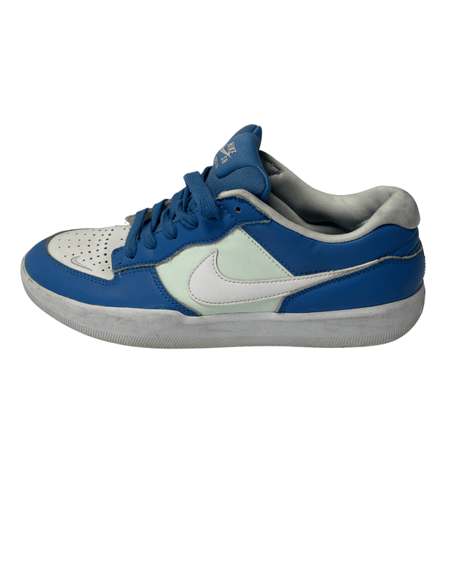 Nike SB Force 58 Skateboarding Shoes | EU 42
