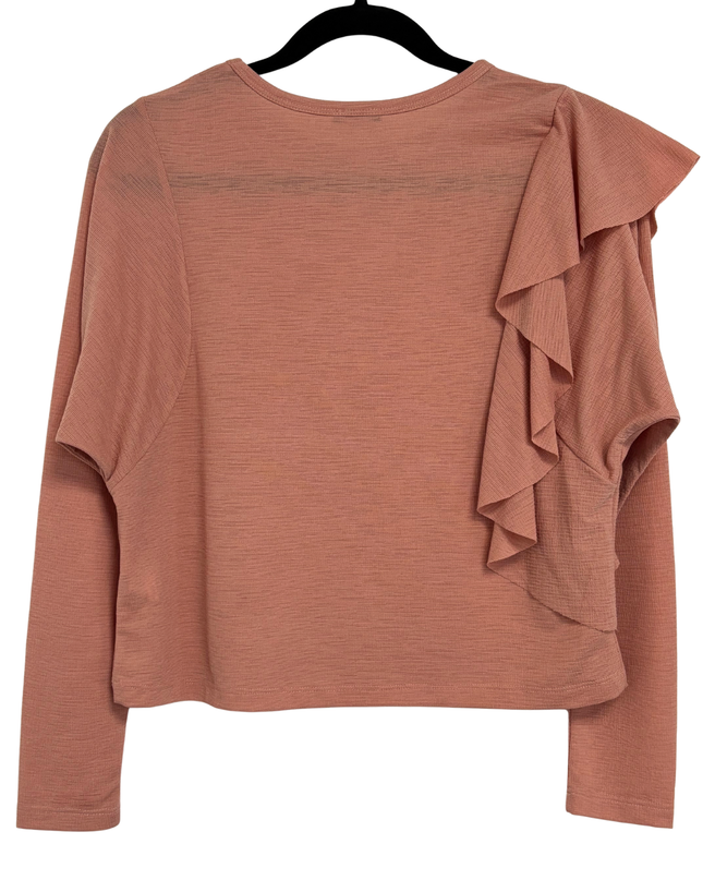 Zara Dusty Rose Textured Asymmetrical Ruffle Top