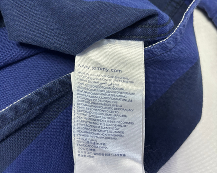 Tommy Hilfiger Blue Striped Long-Sleeve Button-Down Shirt