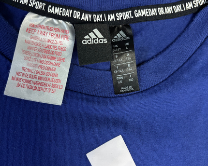 Adidas Blue Graphic Sports T-Shirt
