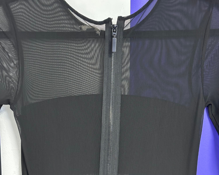 Ecote Black Sheer Mesh Long Sleeve Maxi Dress