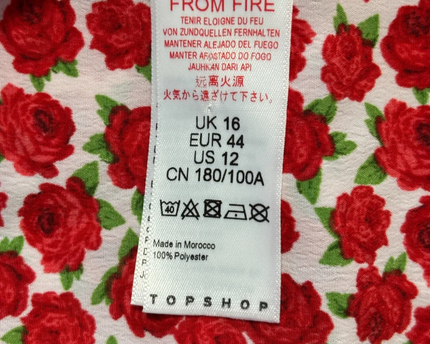 Topshop Red Floral Ruffle Mini Dress with Tie Front