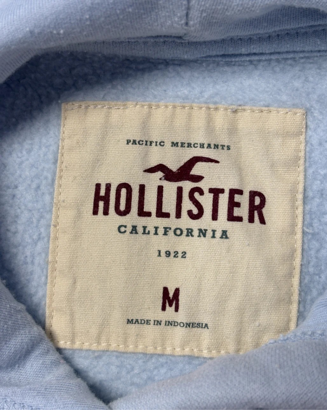 Hollister Light Blue Graphic Hoodie with Sleeve Stripes