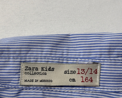 Zara Kids Blue Striped Long Sleeve Button-Down Shirt