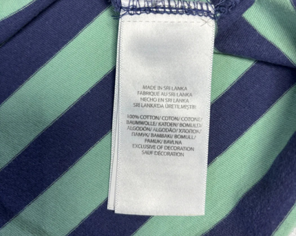 Polo Ralph Lauren Blue and Green Striped Pocket T-Shirt